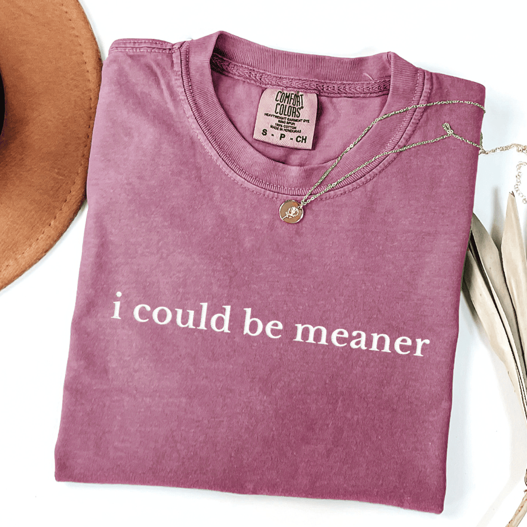 I Could Be Meaner Embroidered Tee