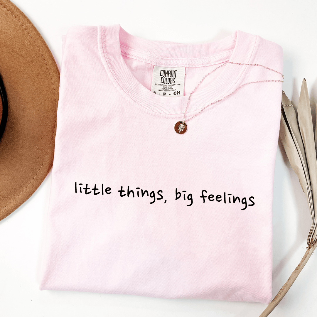 Little Things, Big Feelings T-shirt