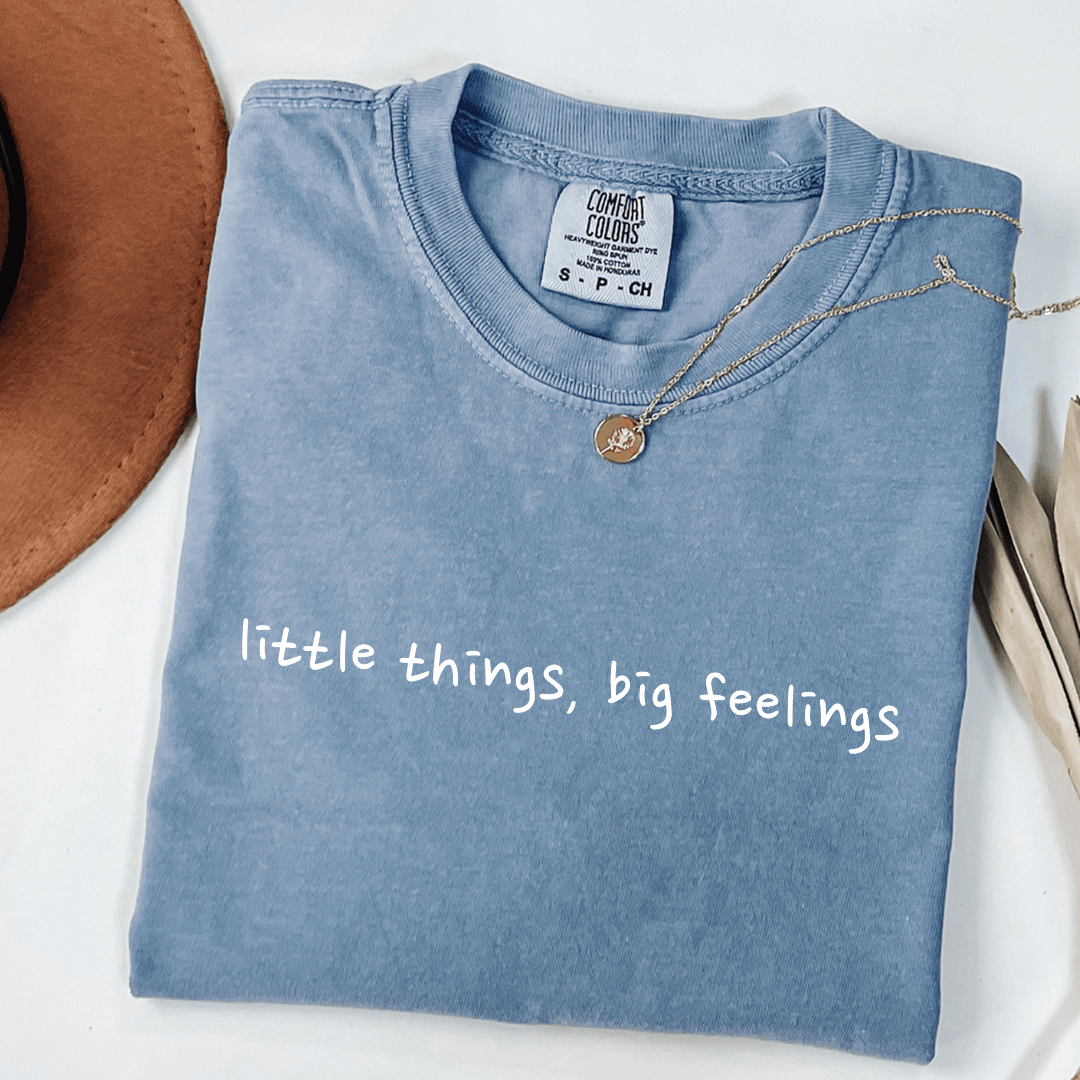 Little Things, Big Feelings T-shirt