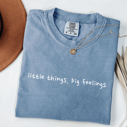 Little Things, Big Feelings T-shirt