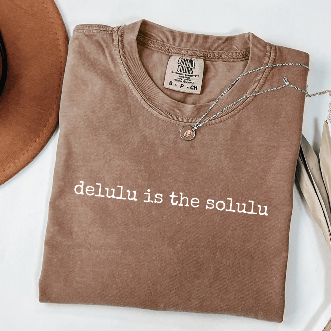 Delulu Is The Solulu T-shirt